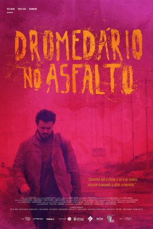 Dromedário no asfalto's poster