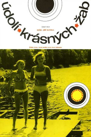 Udolí krásných zab's poster