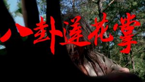 Ba gua lian hua zhang's poster