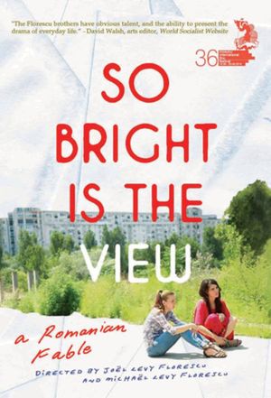 So Bright Is the View's poster image