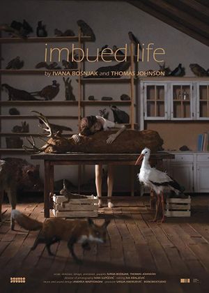 Imbued Life's poster