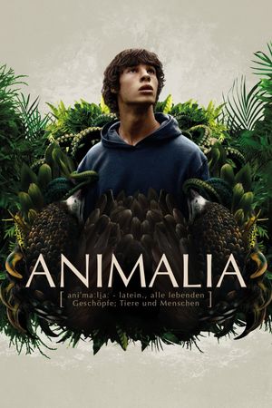 Animalia's poster