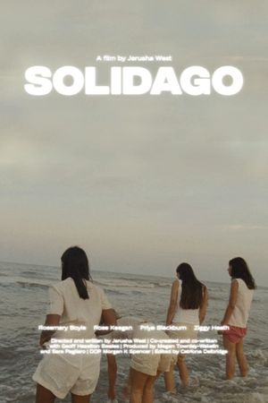 Solidago's poster image