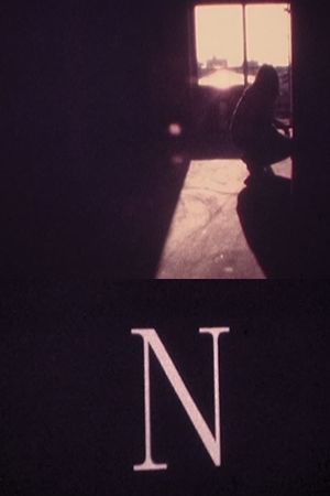 N's poster