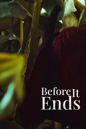 Before It Ends's poster