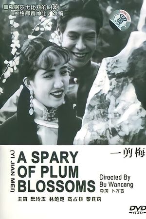 A Spray of Plum Blossoms's poster