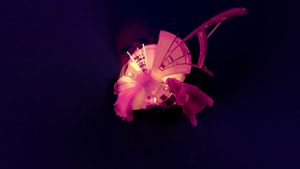 Through You's poster