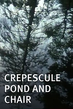 Crepescule Pond and Chair's poster
