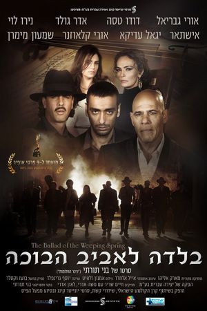The Ballad of the Weeping Spring's poster