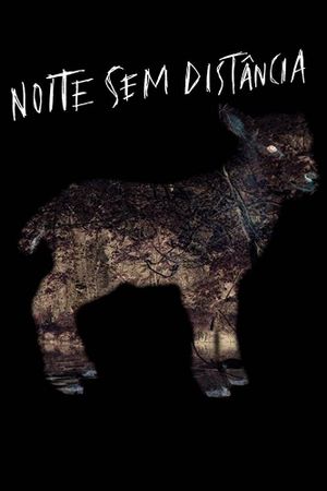 Night Without Distance's poster