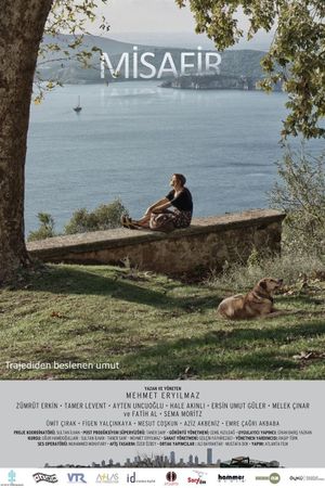 The Visitor's poster