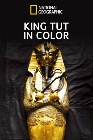 King Tut In Color's poster