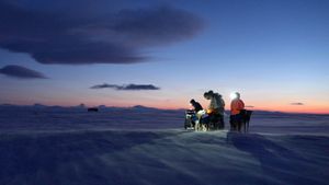 Musher, l'appel de l'Alaska's poster
