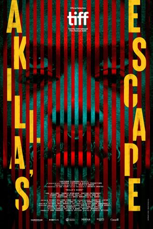 Akilla's Escape's poster