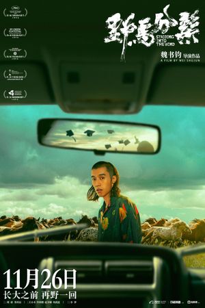 Striding Into the Wind's poster
