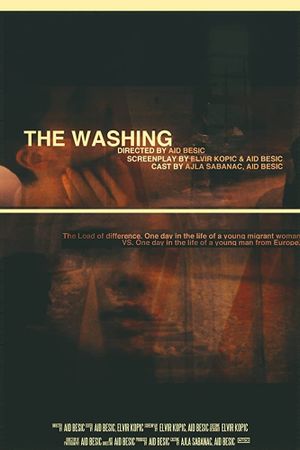 The Washing's poster