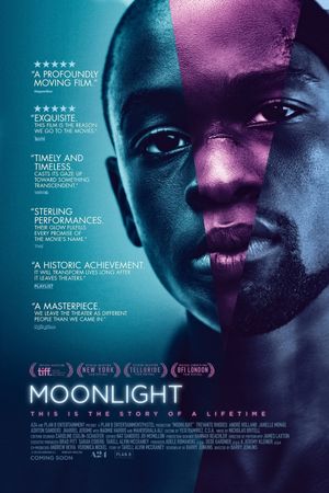 Moonlight's poster