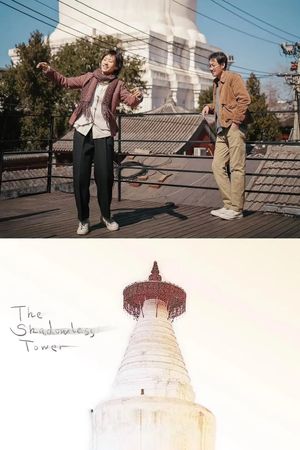 The Shadowless Tower's poster