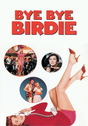 Bye Bye Birdie's poster
