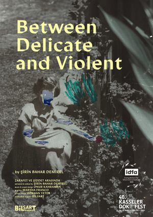 Between Delicate and Violent's poster
