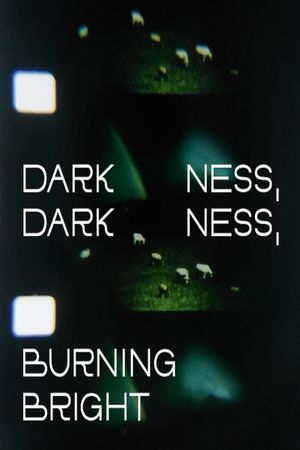 Darkness, Darkness, Burning Bright's poster