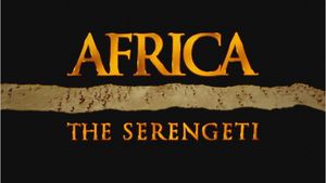Africa: The Serengeti's poster