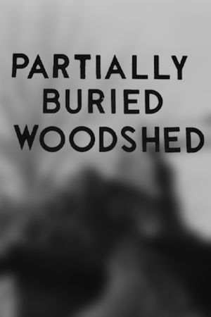Partially Buried Woodshed's poster