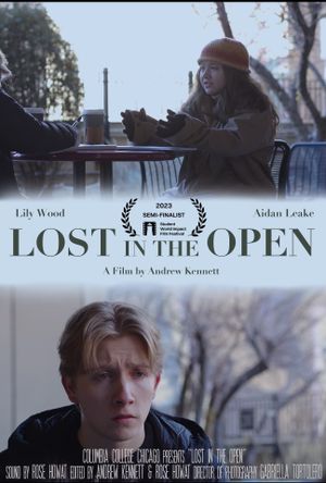 Lost in the Open's poster