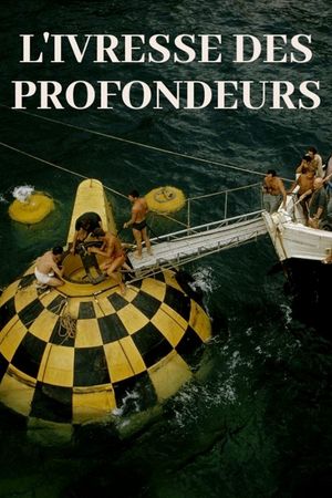 Into the Abyss: The Story of Subaquatic Exploration's poster