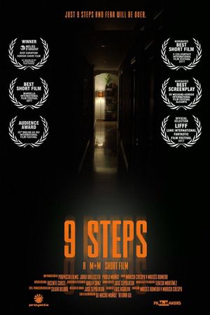9 Steps's poster