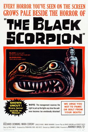 The Black Scorpion's poster