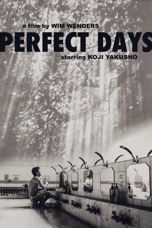 Perfect Days's poster