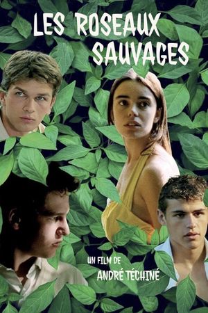 Wild Reeds's poster