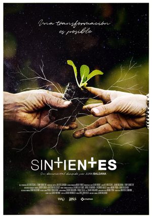 Sintientes's poster