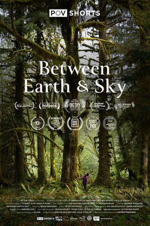 Between Earth & Sky's poster