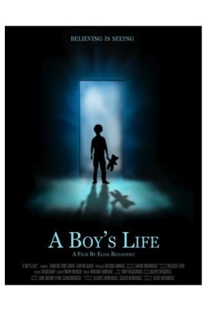 A Boy's Life's poster image