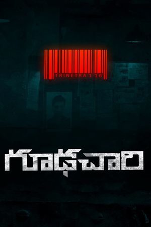 Goodachari's poster