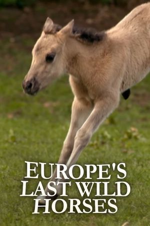 Europe's Last Wild Horses's poster