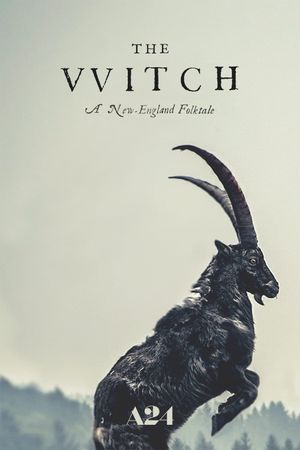 The Witch's poster