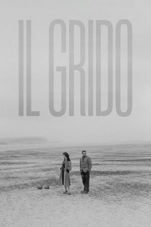 Il Grido's poster