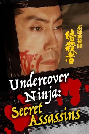 Undercover Ninja: Secret Assassins's poster