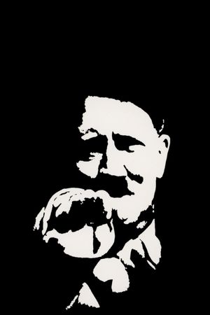 Hitler: A Career's poster