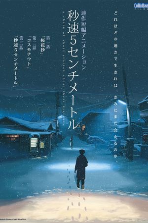 5 Centimeters per Second's poster