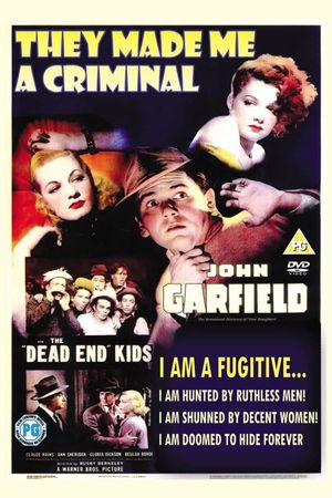They Made Me a Criminal's poster