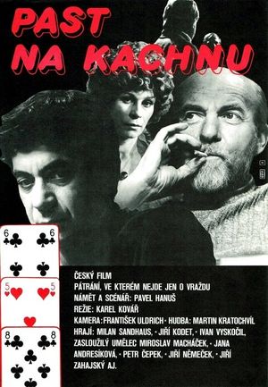 Past na kachnu's poster