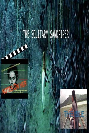 The solitary sandpiper's poster image