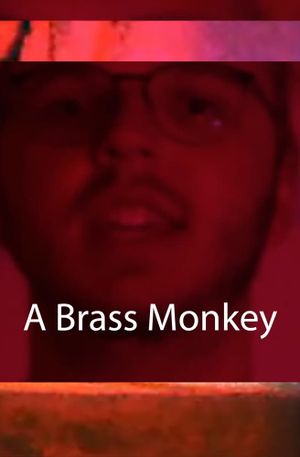 A Brass Monkey's poster image