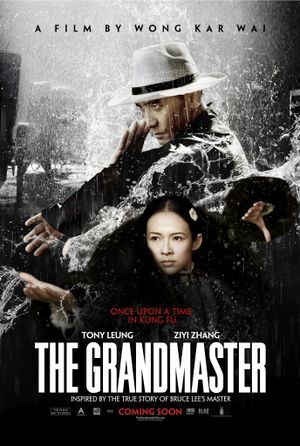 The Grandmaster's poster