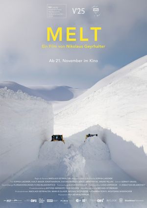 Melt's poster image