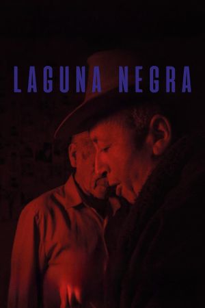 Laguna negra's poster